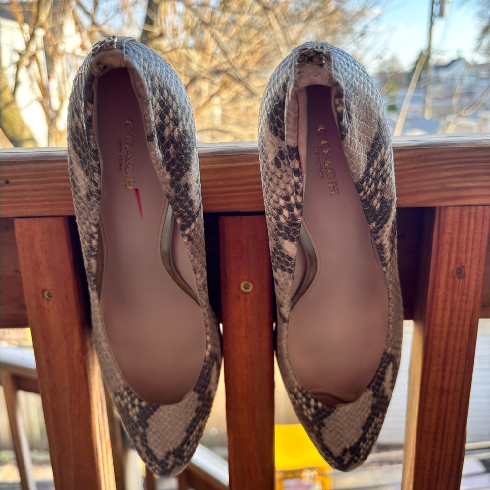 COACH Cream and Gray Snake Print Stacked Heels - Picture 9 of 12